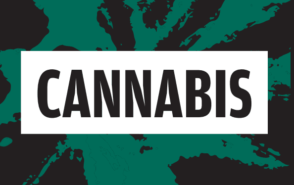 Hva er cannabis?
